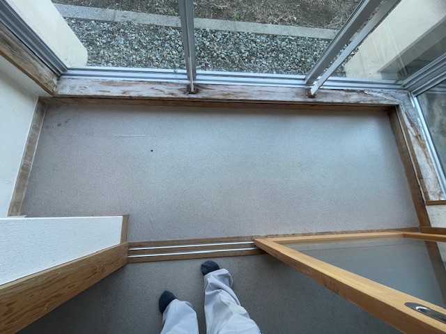 新着情報の画像